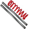 JINFANNIBI Heavy Duty Fork Springs & Rear Spring for Kawasaki