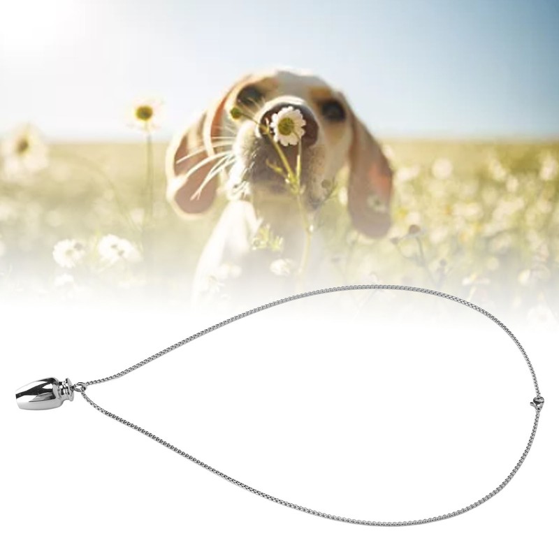 Pet Ashes Necklace Exquisite Memorial Stainless Steel Cremation Jewelry Urn