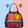 FlowFly Lunch Bag Tote Bag Lunch Organizer Lunch Holder Insulated