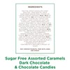 Russell Stover Sugar-Free Assorted Caramels in Chocolate, 15.3oz - Milk