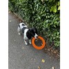 Chewtopia Throw Ring Flying Ring, Frisbee Dog Toy, Flexible and