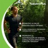 Zinc 10mg - Nature's Plus - 90 - Tablet by