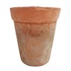 degawo Aged Terracotta Flower Pot 'Long Tom'