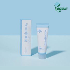 Etude [에뛰드]순정 판텐소사이드10 시카밤 [Etude] Pure Pantensocide 10 Cica Balm