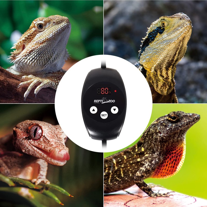 REPTIZOO Dimming Thermostat, PID Temperature Controller with Memory Function, Reptile