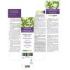 Common Mugwort (Artemisia vulgaris) herb with Flowers Alcohol-Free Mother Tincture