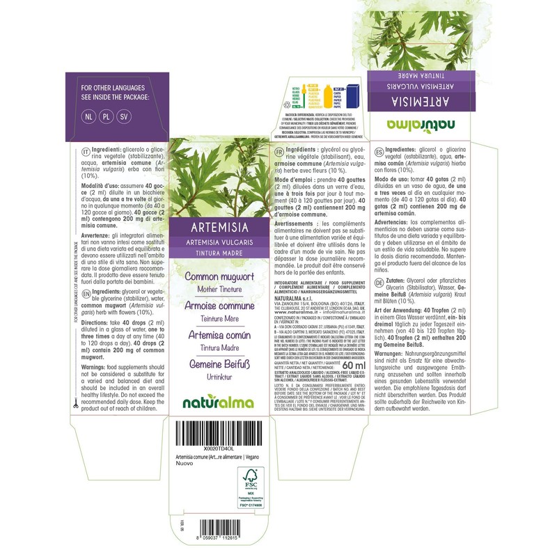 Common Mugwort (Artemisia vulgaris) herb with Flowers Alcohol-Free Mother Tincture