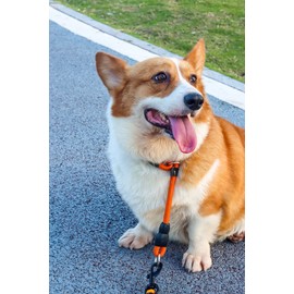 Mystercome Slip Collar, Dog Choker Collar, Nylon Dog Training Collar with Slidable Stopper No Pull Dog Collars Martingale Collars for Small Medium Large Dogs, Orange, M