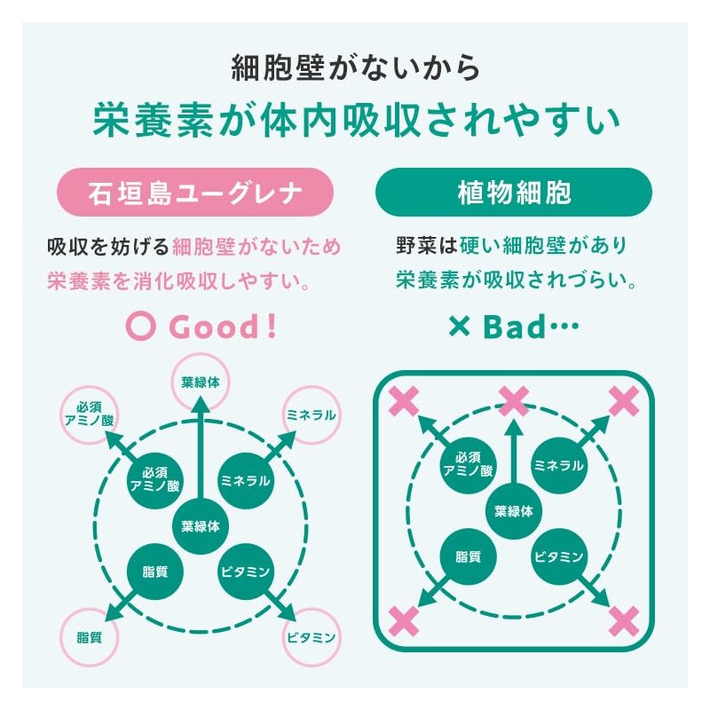 からだにユーグレナ グリーンタブレット 乳酸菌 お試し用（7日分） ユーグレナ サプリ サプリメント タブレット ミドリムシ マルチ