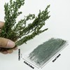 Woohome 3 Colour Scenics Grass Tuft, DIY Miniature Static Grass