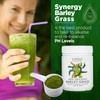 Synergy Natural Organic Barley Grass Powder 100g
