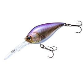 DUEL Hardcore Bass Lure, Crank 4+ 3.0 inches (75 mm), Floating 06: Keimura Ghost Wakasagi, Center of Gravity, System Crankbait RANGE: 4 m+α