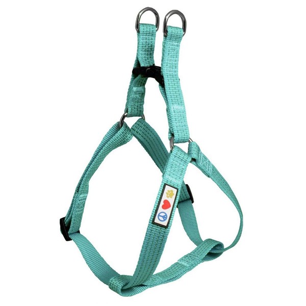 Pawtitas Reflective Step in Dog Harness or Reflective Vest Harness, Comfort Control, Training Walking of Your Puppy / Dog Large Dog Harness L Teal Dog Harness