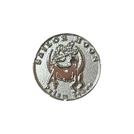 Sailor Moon Store Special Membership, Prism Star, Silver Pins, Sailor Moon Fan Club, Limited Membership Card, Pin Badge, Fan Club, Bonus, Sailor Moon, Pretty Guardians FC Exclusive, Fan Club, FC Pin