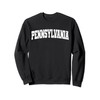 Pennsylvania State Men Women Kids Retro Vintage Pennsylvania Sweatshirt