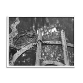 Stupell Industries Spooky Spider Webs Rustic Monochrome Gate Framed Wall Art, Design by Daphne Polselli