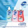 Dial Jabón Líquido Para Manos Dial Minerales Rosados 221 Ml