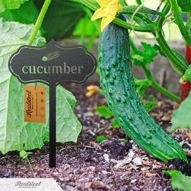 RealSteel - Seed & Plant Markers - Indoor/Outdoor Herb Garden Stakes - Elegant Fruit/Vegetable Seed Labels - Durable Plant Tags for Pots - Classy Design for Farmhouse/Greenhouse (Zucchini)