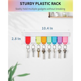 Uniclife Key Tag Rack Slot Style Plastic Wall Mounted Key Holder Organizer with Transparent Tough Key Tag Identifiers Markers in 8 Assorted Colors, 2 Pack