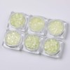 Ocobudbxw Luminous Sequins Glow In the Dark Glitters Resin Jewelry