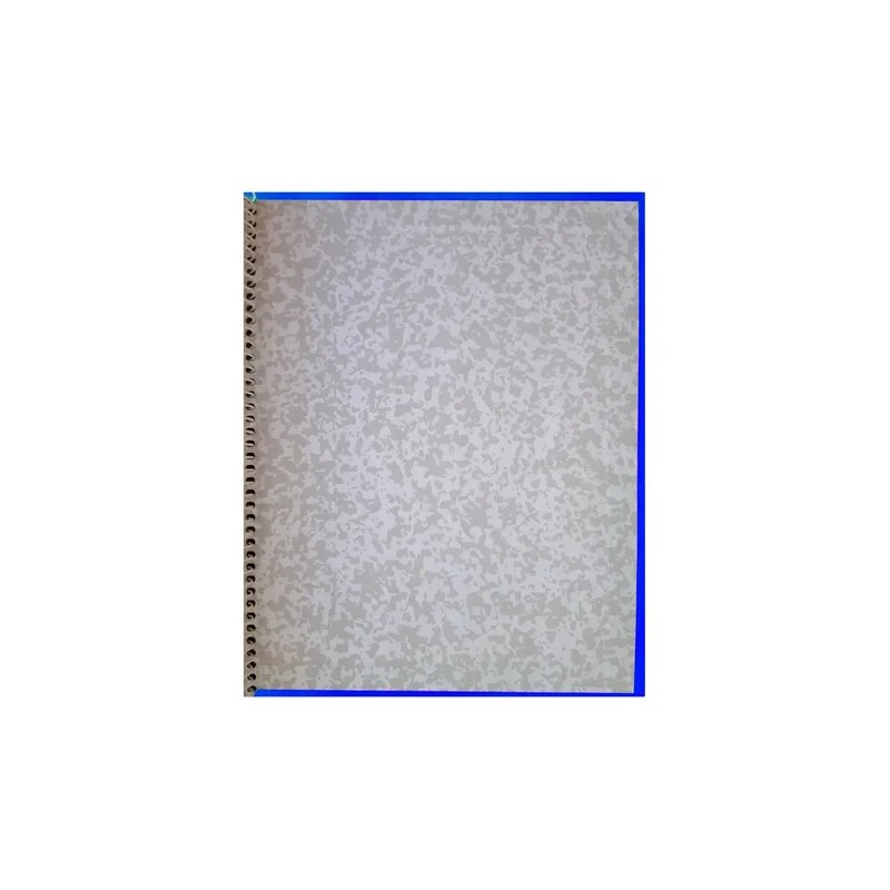 Cuaderno Profesional Roca 200 Hojas Raya Pasta Dura Pieza