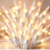 TIGOMOOV 50 Count Mini Clear White Christmas Lights-120V Plug-in End