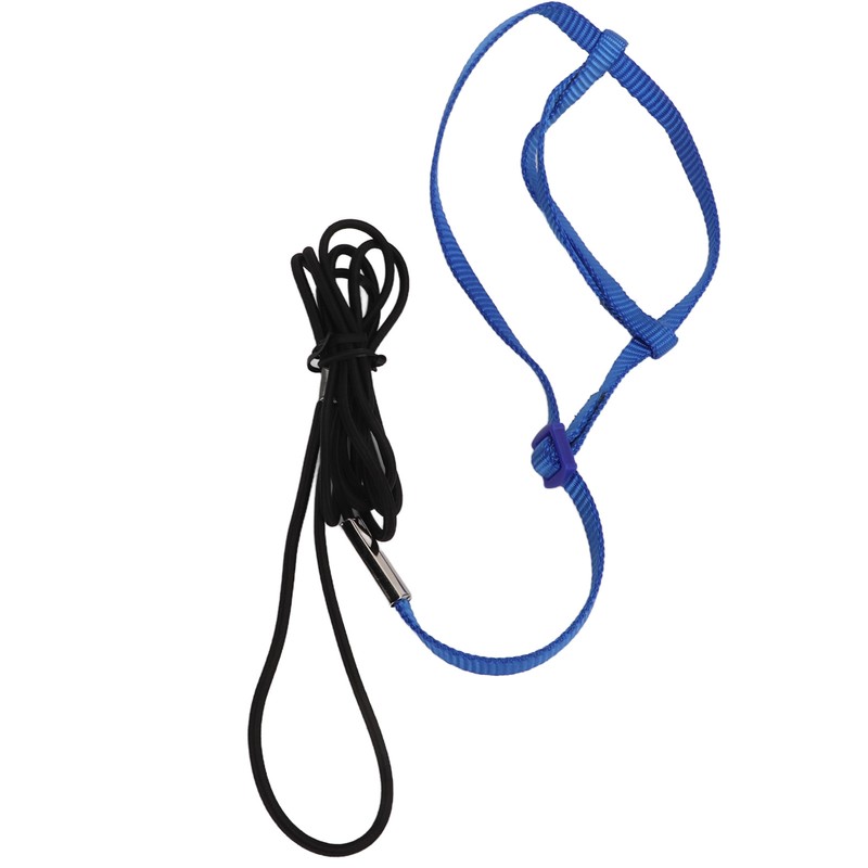 Parrot Harness Leash Adjustable Bird Flying Harness Traction Rope with