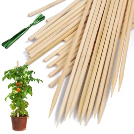 Bamboo Plant Stakes,HAINANSTRY Wood Plant Supports,Natural Bamboo Sticks for Plants/Floral/Potted Plant,Wooden Sign Posting Garden Sticks - 16 Inches 25 Pack