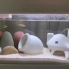 Ceramic Mushroom Aquarium Decor, Betta Fish Cave Hideout for Shrimp,