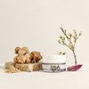 [Ginger6] Vegan Energizing Peptide Cream Night Cream 50ml