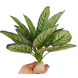 Reptile Terrarium Decor,Amphibian Habitat Decor,Artificial Plants for Crested Gecko Tank Accessories Suitable for Leopard Gecko Bearded Dragon Lizard Chameleon Snake Tortoise (Calathea makoyana-D)