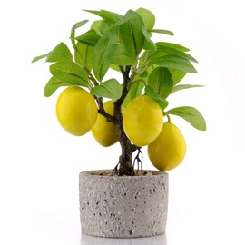 Woration Artificial Potted Plants Fake Yellow Lemon Tree Bonsai Decoration Faux Fruit Greenery with Pot Indoor for Home Office Living Room Table Ornaments