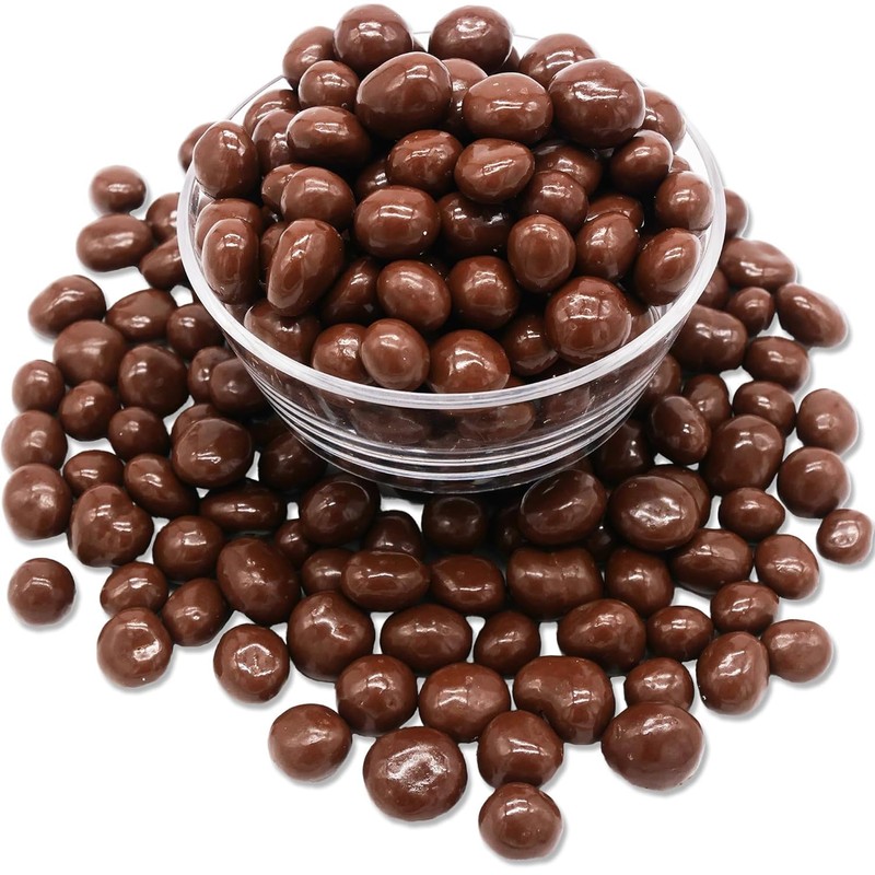 Hayden Valley Foods Milk Chocolate Covered Raisins | 26 oz