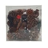 Oberle 80582 Christmas Pine Cones Cones and Accessories Various Sizes