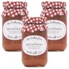 Generic Mrs Darlington's Apricot Chutney - 312g - Pack of