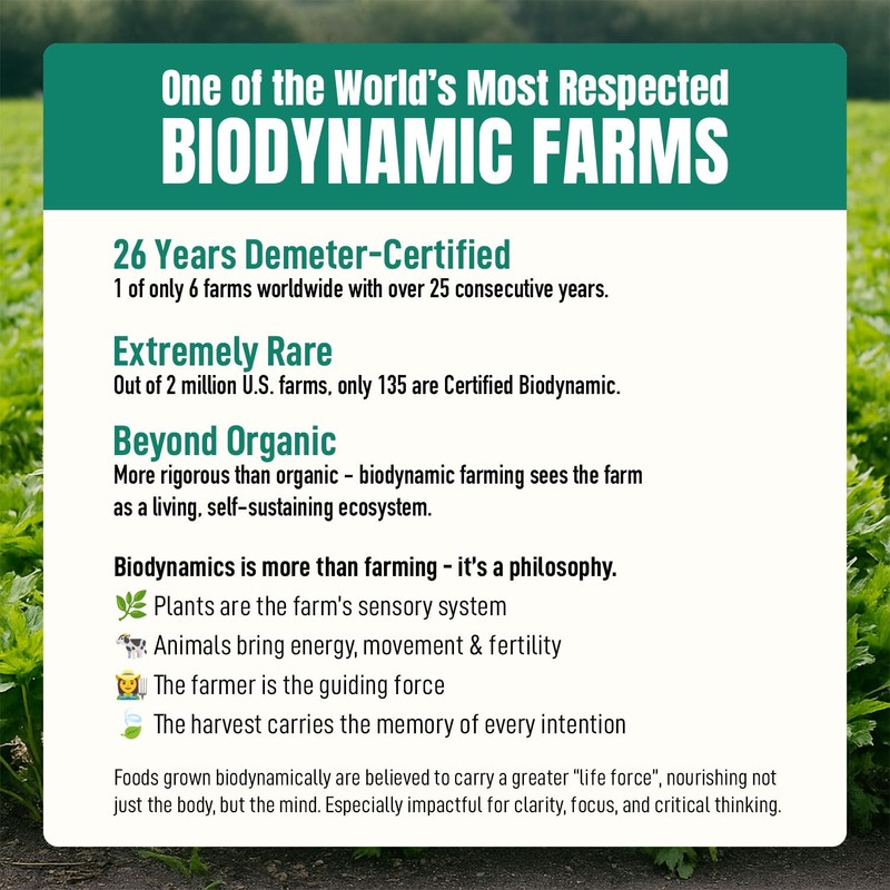 Dr. Cowan’s Garden Organic Ashitaba Herbal Tea, 20 Tea Bags