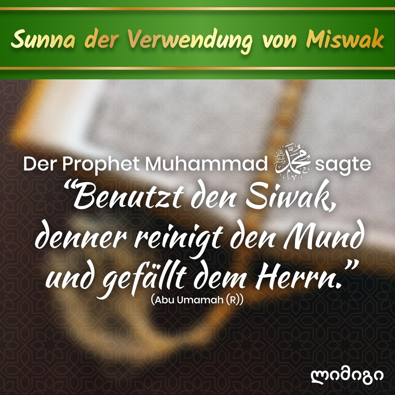 Modogo Siwak Sticks, Pack of 5