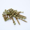 Ansoon 50pcs Bear Claw Double-Headed Wall Picture Screws, 4-in-1 Picture
