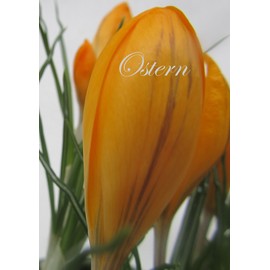 Notizheft DIN A4 - Ostern: liniert, 108 Seiten