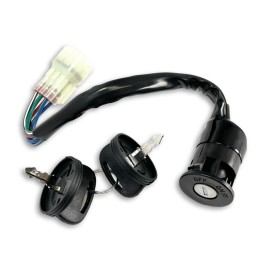 Quad Logic Can-Am 2002-2007 DS 50 90 Replacement Ignition Switch with Keys