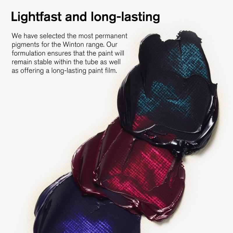 Winsor & Newton Winton Oil Color Paint Set, 20 x