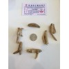 Wisconsin Farms Ginseng from Wisconsin USA 7 years 1LB Strand