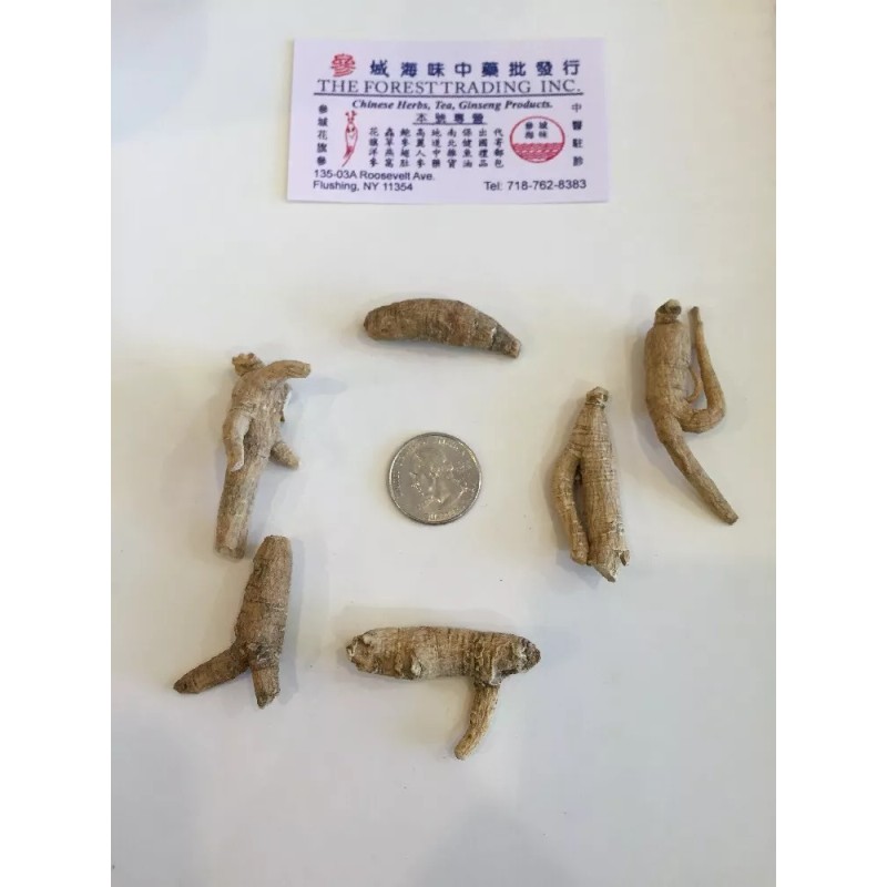 Wisconsin Farms Ginseng from Wisconsin USA 7 years 1LB Strand