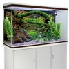 MIRRORANG 120x61cm Aquarium Background Branches Terrarium Background Aquatic Plant River