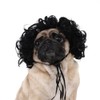 Pet Wig for Cats & Dogs – DIY-Trimmable Curly or