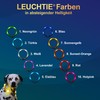 LEUCHTIE® Mini Light Collar I LED Collar for Small Dogs