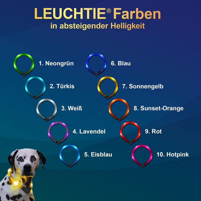 LEUCHTIE® Mini Light Collar I LED Collar for Small Dogs