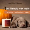 Pet Friendly Wax Melts | Pet Safe Wax Melts |