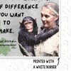 What You Do Makes A Difference Jane Goodall Quote Classroom