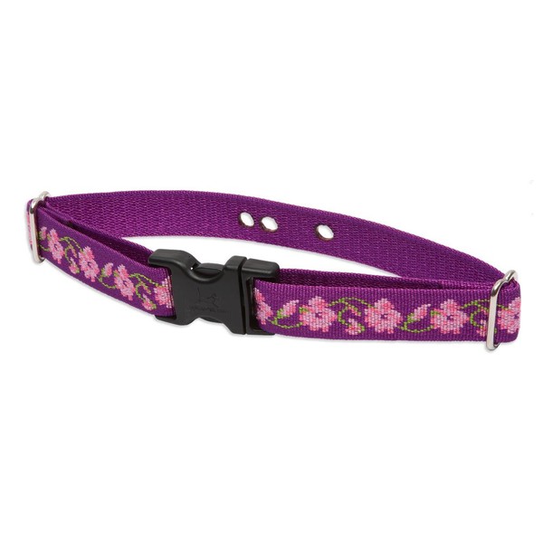 LupinePet Originals 1" Rose Garden 12-17" Containment Collar Strap for